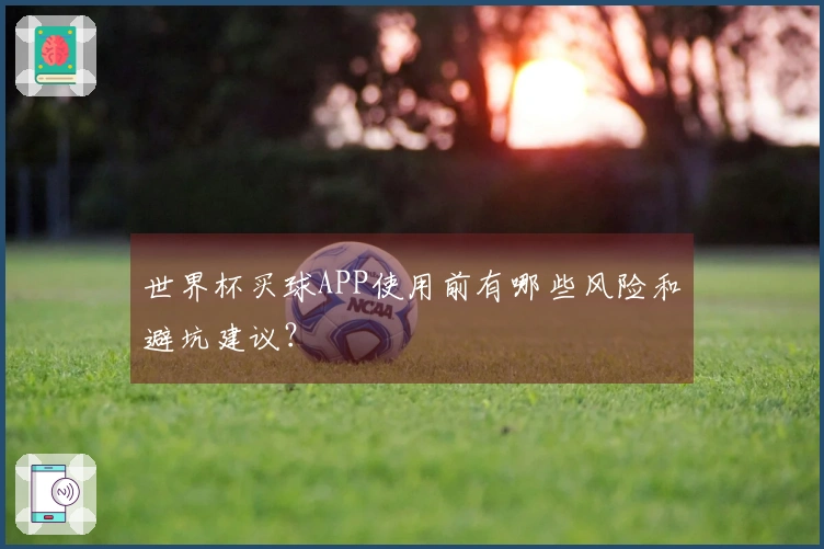 世界杯买球APP使用前有哪些风险和避坑建议？
