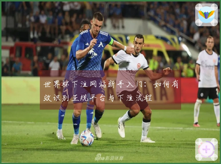 世界杯下注网站新手入门：如何有效识别正规平台与下注流程