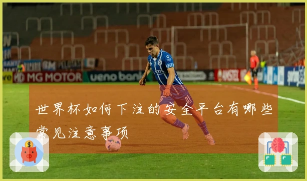 世界杯如何下注的安全平台有哪些常见注意事项