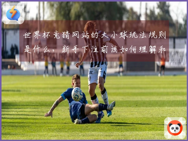 世界杯竞猜网站的大小球玩法规则是什么，新手下注前该如何理解和判断？