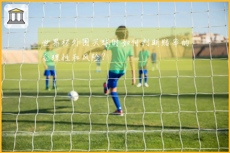 世界杯外围买球时如何判断赔率的合理性和风险？