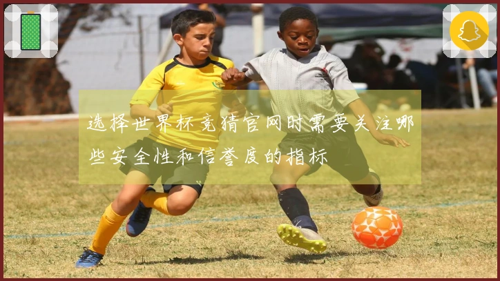 选择世界杯竞猜官网时需要关注哪些安全性和信誉度的指标